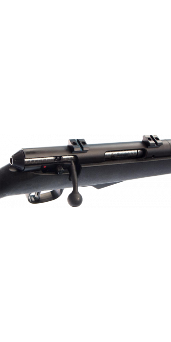 Savage Firearms 25 Walking Varminter 22"/56cm .22 Hornet, M15x1 Repetierbüchse