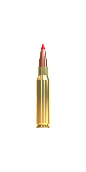 Sellier & Bellot 5,6x50 R Mag. 3,24g/50GR SP 20 Patronen