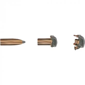 Geco Softpoint .30-06 Spr. 11,0g/170grs. 20 Patronen