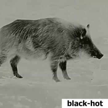 Lahoux Spotter NL 625 Wärmebildkamera