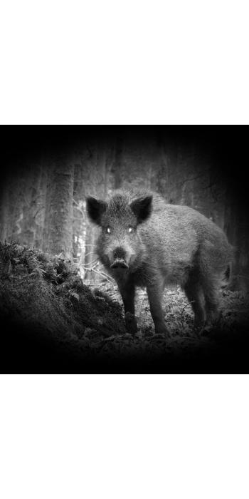 PARD NV007V Digitales Nachtsicht-Aufsatzgerät mit 940nm