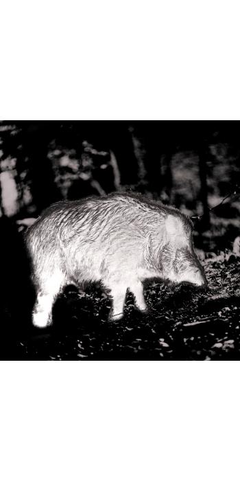 PARD FT32 Wärmebild-Vorsatzgerät