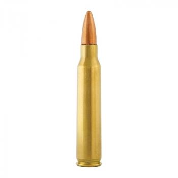 Aguila Standard .223 Rem. 55GR FMJ 50 Patronen
