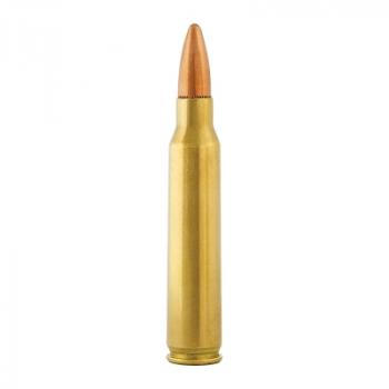 Aguila Standard .223 Rem. 55GR FMJ 300 Patronen