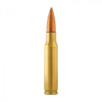 Aguila Standard .308 Win. 150GR FMJ 20 Patronen