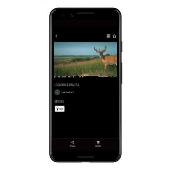 SPYPOINT Wildkamera FLEX