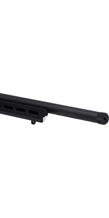Savage Firearms B22 Precision 18"/46cm .22 LR Repetierbüchse