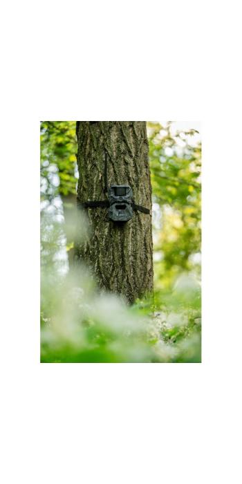 HIKMICRO T16 4G Wildkamera Dual-FOV, bis 24 MP, 64 GB