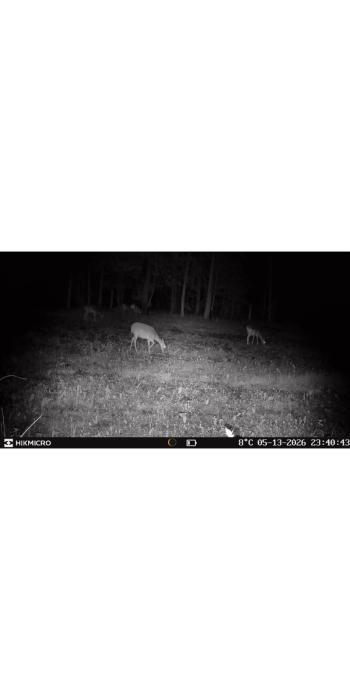 HIKMICRO T16 4G Wildkamera Dual-FOV, bis 24 MP, 64 GB