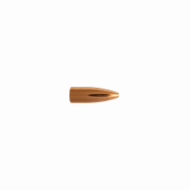 Berger Geschoss .20 FB Varmint 35GR 100 Stück
