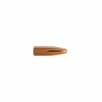 Berger Geschoss .22 FB Varmint 55GR 100 Stück