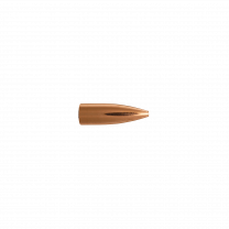 Berger Geschoss .22 FB Target 52GR 1000 Stück