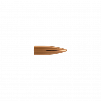 Berger Geschoss .22 FB Target 55GR 100 Stück