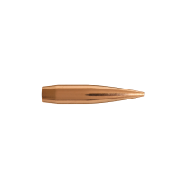 Berger Geschoss 6mm/.243 Elite Hunter 108GR 100 Stück
