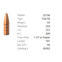 Barnes Geschoss .22/.224 55GR TSX FB 50 Stück
