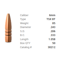Barnes Geschoss 6mm/.243 85GR TSX BT 50 Stück Barnes Geschoss 6mm/.243 85GR TSX BT 50 Stück