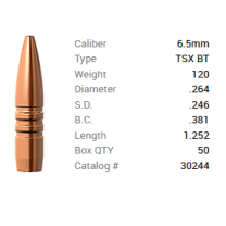 Barnes Geschoss 6,5mm/.264 120GR TSX BT 50 Stück