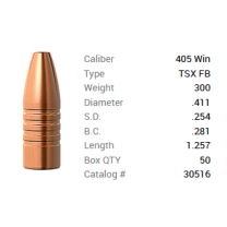 Barnes Geschoss .405 Win./.411 300GR TSX HP FB 50 Stück