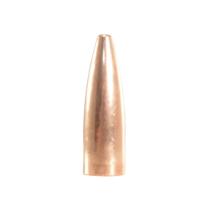 Speer Geschoss .22/.224 55GR FMJ 100 Stück