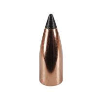 Nosler Geschoss Varmageddon .20/.204 32GR FB Tipped 100 Stück