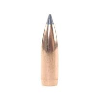 Nosler Geschoss Ballistic Tip Hunting 8mm/.323 180GR Spitzer 50 Stück