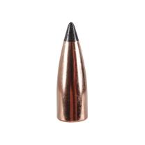 Nosler Geschoss 7,62x39/.310 Varmageddon 123GR Flat Base Tipped 100 Stück