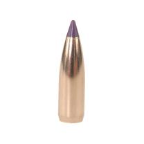 Nosler Geschoss Ballistic Tip Varmint 6mm/.243 70GR Spitzer 250 Stück