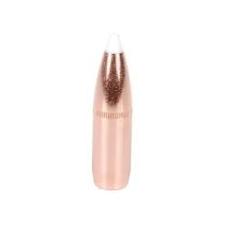 Nosler Geschoss Accubond .375/.375 300GR Spitzer 50 Stück