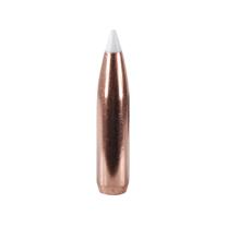 Nosler Geschoss Accubond 7mm/.284 160GR Spitzer 50 Stück