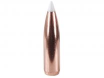 Nosler Geschoss 6mm/.243 Accubond 90GR Bonded Spitzer Boat Tail 50 Stück