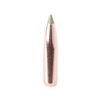 Nosler Geschoss E-Tip 6mm/.243 90GR Spitzer 50 Stück Nosler Geschoss E-Tip 6mm/.243 90GR Spitzer 50 Stück