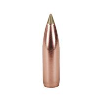 Nosler Geschoss E-Tip 9,3mm/.366 250GR Spitzer 50 Stück
