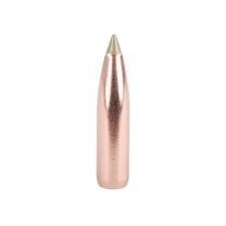 Nosler Geschoss E-Tip .25/.257 100GR Spitzer 50 Stück