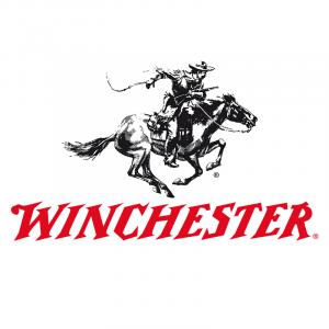 Winchester USA .45 ACP 230GR FMJ 100 Patronen