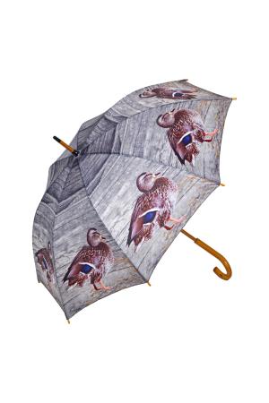 Regenschirm Enten