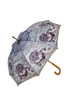 Regenschirm Rauhaardackel