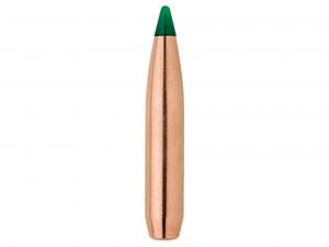 Sierra Geschoss .270/.277 175GR Tipped Game King Game Changer BT 100 Stück