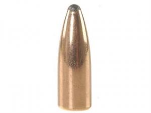 Speer Geschoss .22/.224 55GR SP 100 Stück