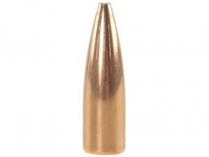 Speer Geschoss 6,5mm/.264 90GR HP 100 Stück