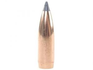 Nosler Geschoss Ballistic Tip Hunting 8mm/.323 180GR Spitzer 50 Stück