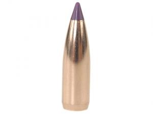 Nosler Geschoss Ballistic Tip Varmint 6mm/.243 70GR Spitzer 250 Stück