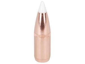 Nosler Geschoss Accubond 6,8mm/.277 100GR Cann 540 Spitzer 50 Stück