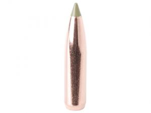 Nosler Geschoss E-Tip 6mm/.243 90GR Spitzer 50 Stück