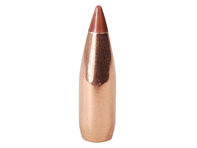 Hornady Geschoss .17/.172 NTX VARMINT 15,5GR 100 Stück