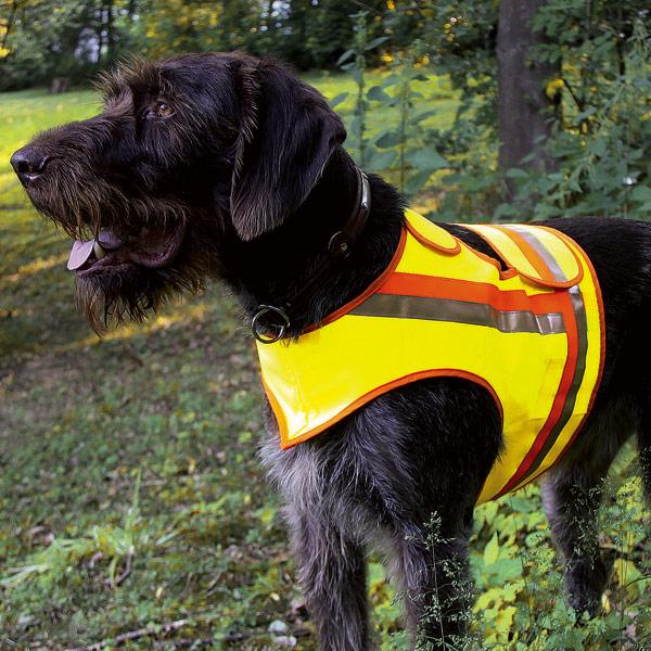 Reflektorweste für Hunde in verschiedenen Größen